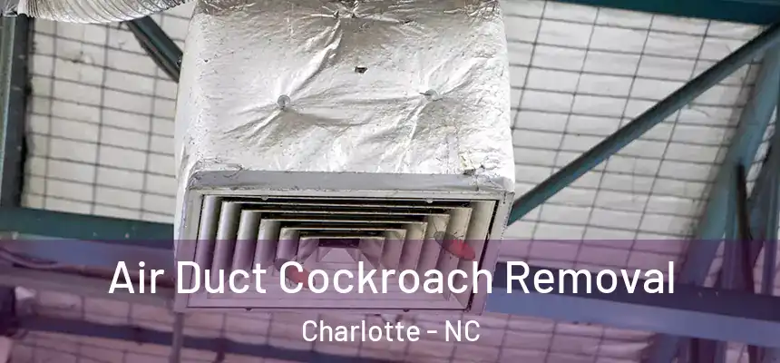 Air Duct Cockroach Removal Charlotte - NC