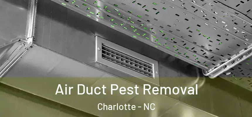  Air Duct Pest Removal Charlotte - NC