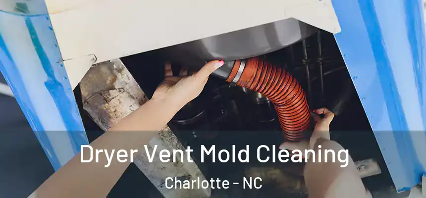 Dryer Vent Mold Cleaning Charlotte - NC