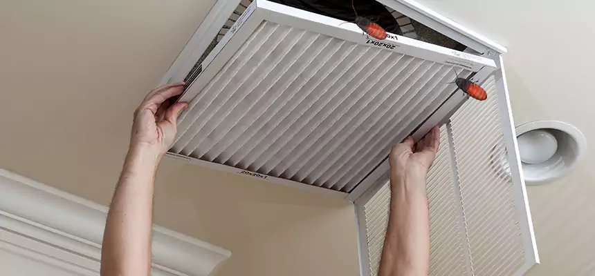 Our Insect Removal from Air Ducts Services in Charlotte, NC