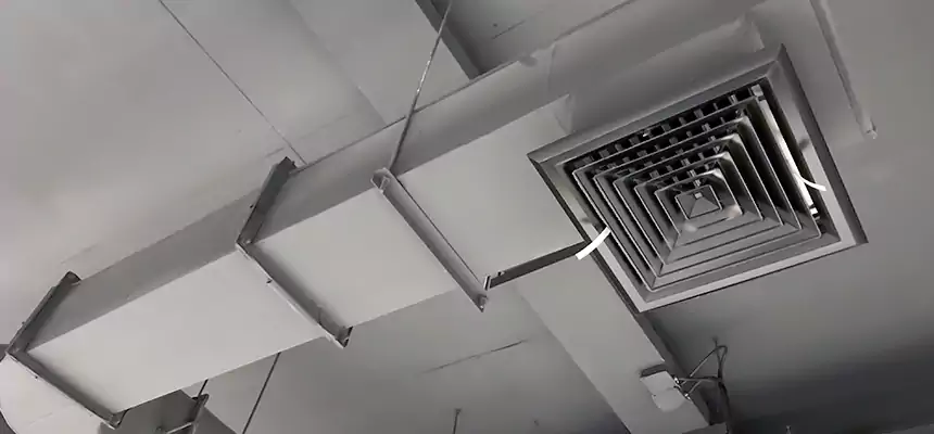 Our Pest Removal From Ducts Services in Charlotte, NC