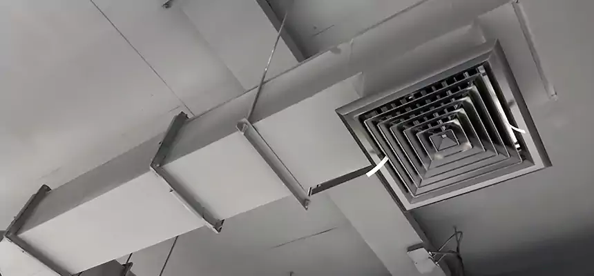 Our Rodent Droppings In Vents Services in Charlotte, NC