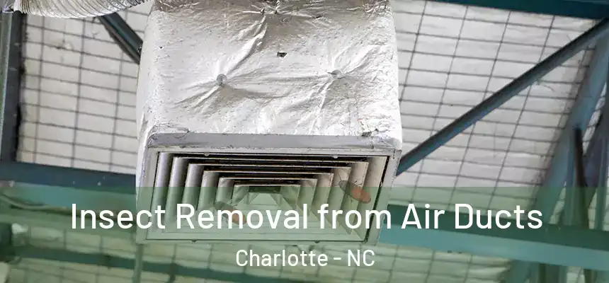 Insect Removal from Air Ducts Charlotte - NC