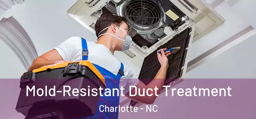  Mold-Resistant Duct Treatment Charlotte - NC