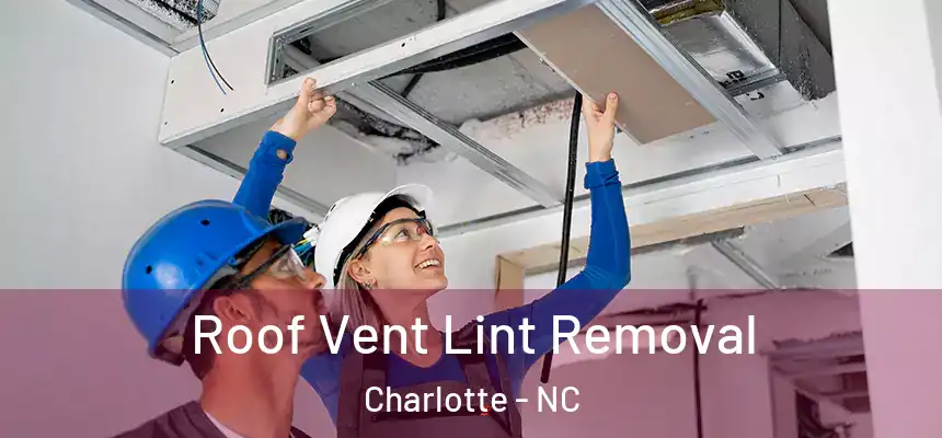 Roof Vent Lint Removal Charlotte - NC