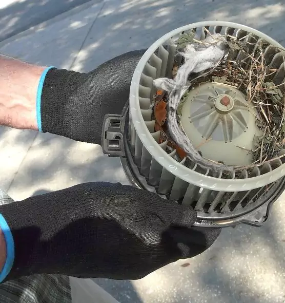 About Air Duct Mice Removal in Charlotte, NC