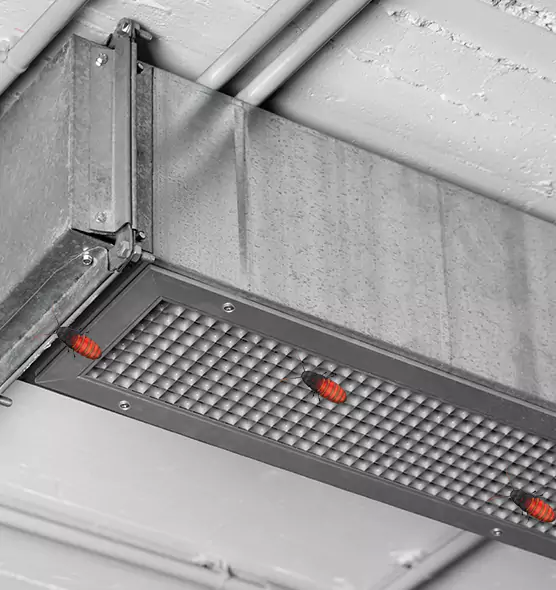 Affordable Insect Removal from Air Ducts in Charlotte, NC