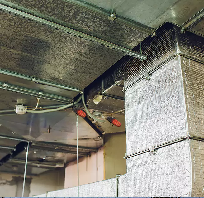 Why Homeowners & Businesses Trust Us in Charlotte, NC?