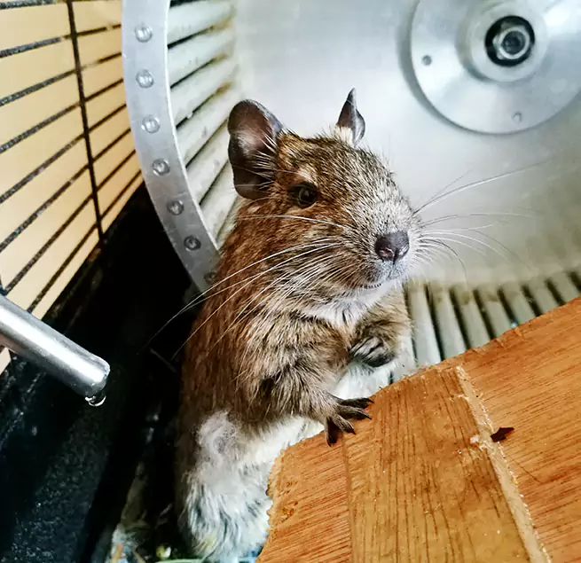 Why Homeowners & Businesses Trust Us Charlotte, NC