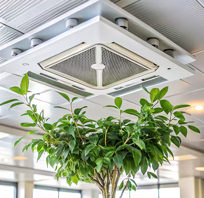 Why Homeowners & Businesses Trust Us in Charlotte, NC?