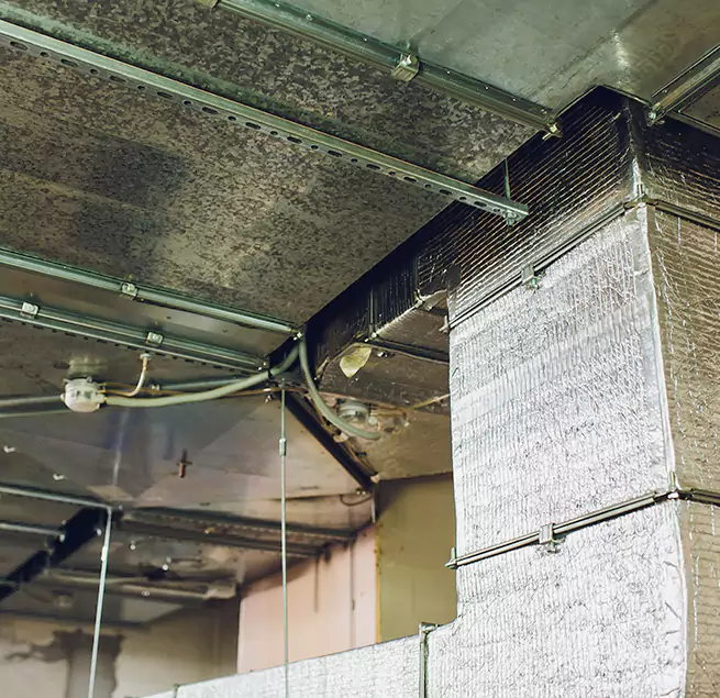 Why Homeowners & Businesses Trust Us in Charlotte, NC?